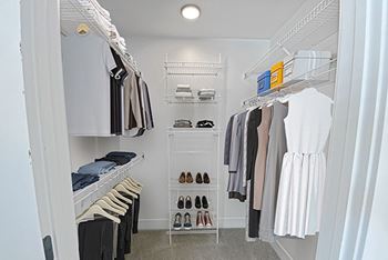 Walk-in closets with organizers 