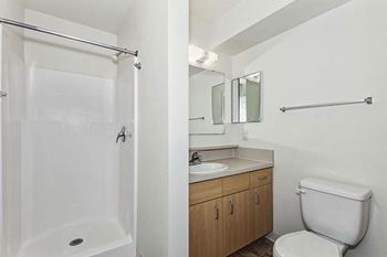 A bathroom with a shower and a sink with vanity and mirror