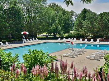 Pool and sundecks