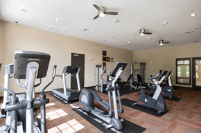 Collierville apartment for rent - A gym with treadmills, elliptical machines, and a fan.