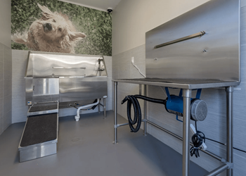 Pet spa