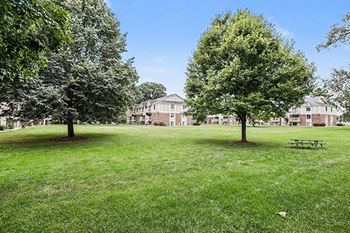 Large lawn area with trees and picnic seating