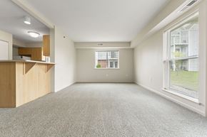 Ankeny apartment for rent - An enlarged living room with a carpeted floor and a window with blinds at Fieldstream Apartment Homes in IA 50023