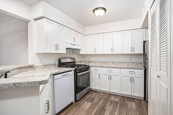 A kitchen with a gas stove and a dishwasher 