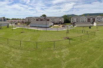 Pet park