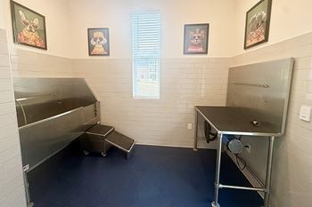 A pet spa