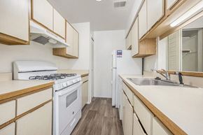 Walker apartment for rent - a kitchen with a gas stove, dishwasher, and a refrigerator at Hampton Lakes Apartments, Michigan, 49534