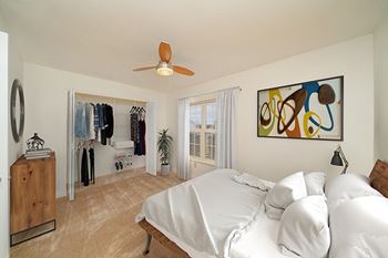 Large walk-in closets 