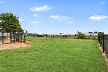 Dog park