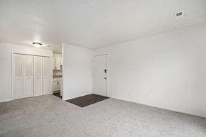 Kalamazoo apartment for rent - A living and dining room with a large closet at Madeira Apartments, Kalamazoo, MI