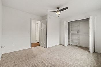 Walk-in closets with organizers