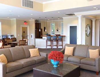 A living room with a grey couch and a blue vase with red flowers on a coffee table