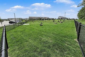 Dog park