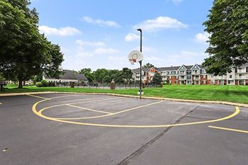 Basketball court