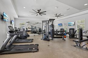Tampa apartment for rent - A spacious gym with a variety of equipment including treadmills, weight machines, and a ceiling fan.