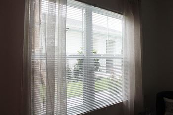 6' Double-pane windows to maximize natural light
