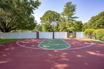Half basketball court