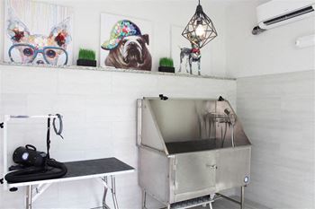 Pet grooming station
