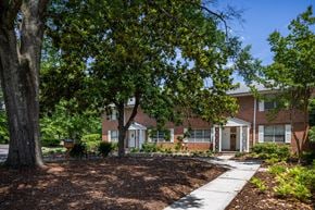 Mountain Brook apartment for rent - A tree in front of a brick building.