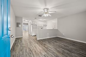 Tampa apartment for rent - the living room and kitchen of an apartment with a blue door