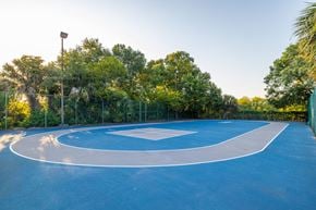 Largo apartment for rent - A basketball court with a blue surface and white lines is surrounded by trees.