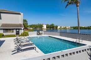 Largo apartment for rent - A pool with lounge chairs and a palm tree in front of a building.