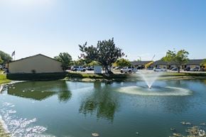 Pinellas Park apartment for rent - A fountain in the middle of a pond in a sunny day.