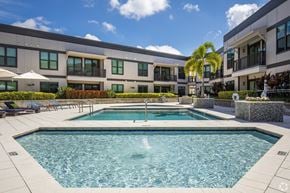 Tampa apartment for rent - Rooftop Swimming Pool.  Live at The Morrison SoHo in Tampa, FL near Hyde Park, Downtown Tampa.