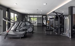 Ferndale apartment for rent - Gym at Flats at Iron Ridge, Ferndale, MI 48220