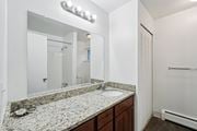 Oak Park apartment for rent - A bathroom with a granite countertop and a mirror above it.