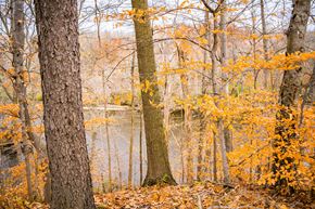 Flint apartment for rent - View of Flint River in Fall