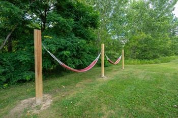 Hammocks