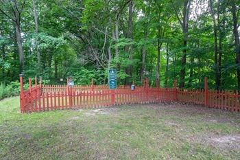 Bark park