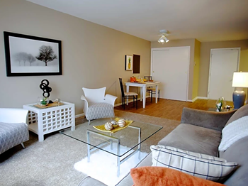 Plush carpeting