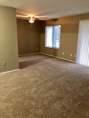 Southfield apartment for rent - an empty living room with carpet and a window