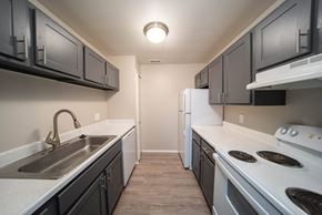 Wayne apartment for rent - a room with purple and green walls and a sink