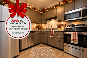 Indianapolis apartment for rent - Veridian Castleton