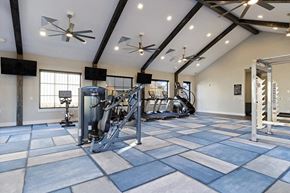 Grand Rapids apartment for rent - the preserve at ballantyne commons fitness room with weights and gym equipment