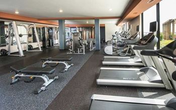 Wellbeats™ fitness studio