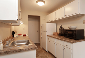 Richmond Heights apartment for rent - a kitchen with white cabinets and a sink and a refrigerator
