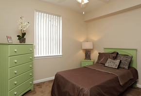 Euclid apartment for rent - Brown bedspread with green accents