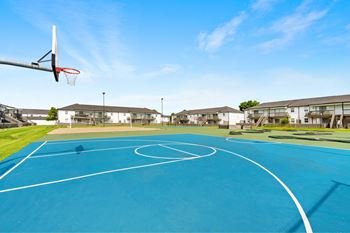 Basketball court