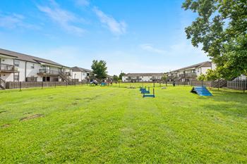 Dog park oasis