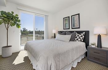 Plush carpeting in bedrooms