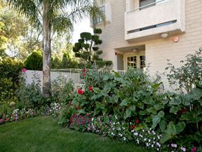 North Hollywood apartment for rent - Garden outside of building