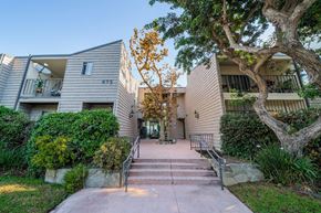 Inglewood apartment for rent - A tree in front of a building with a staircase leading to the entrance.