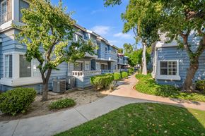 Chatsworth apartment for rent - A tree in front of a blue building.