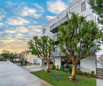 Landscaped front yard