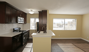 Van Nuys apartment for rent - a kitchen with a sink and a window