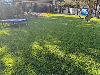 Bark park doggy park